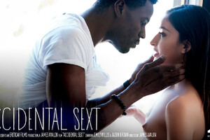SexArt - Accidental Sext